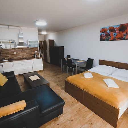 Apartman Max Lipno ليبنو ناد فلتافو المظهر الخارجي الصورة