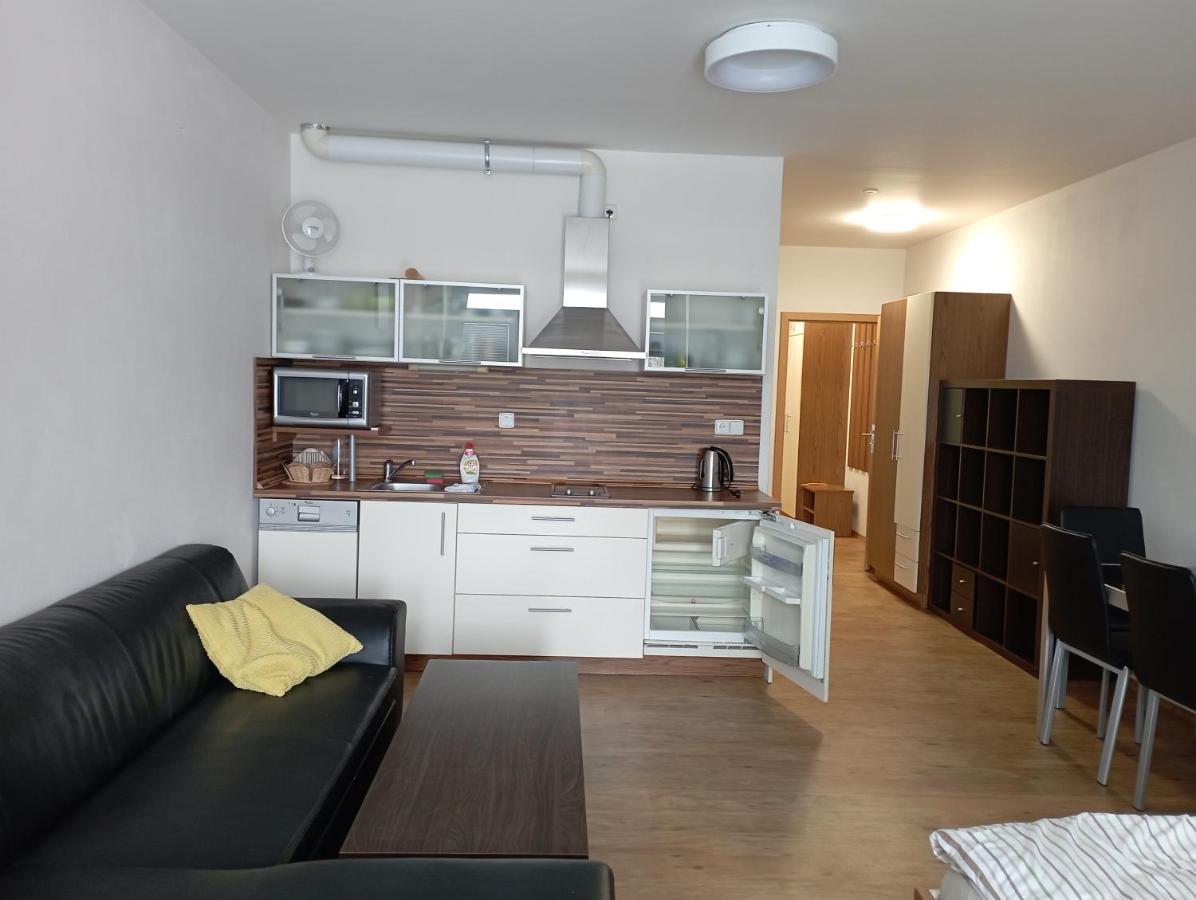 Apartman Max Lipno ليبنو ناد فلتافو المظهر الخارجي الصورة