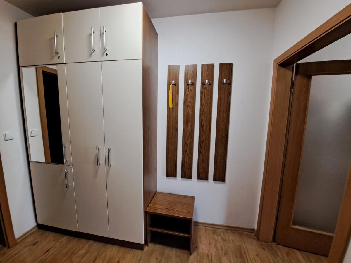 Apartman Max Lipno ليبنو ناد فلتافو المظهر الخارجي الصورة