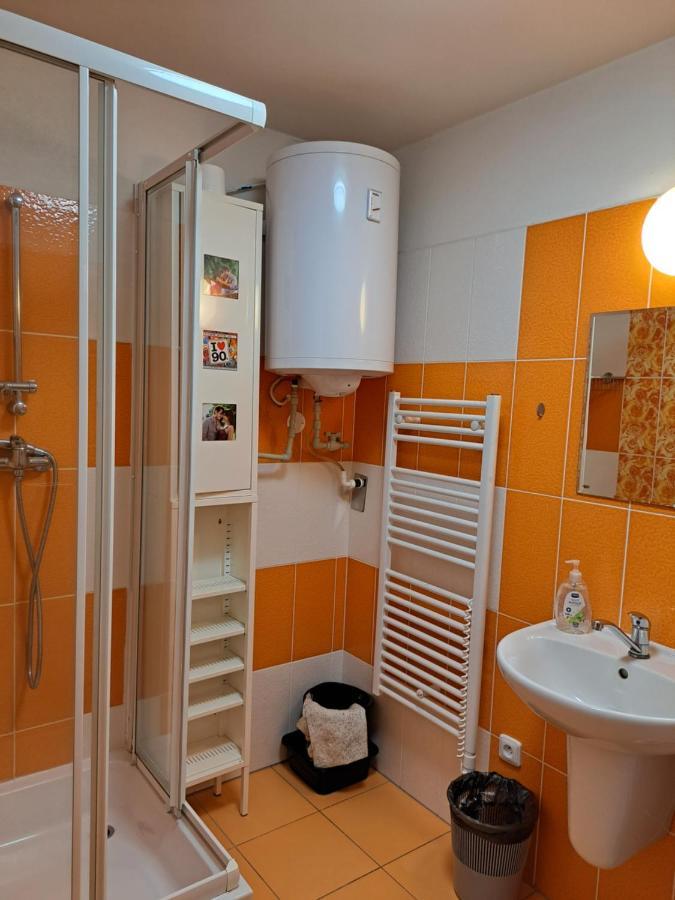 Apartman Max Lipno ليبنو ناد فلتافو المظهر الخارجي الصورة